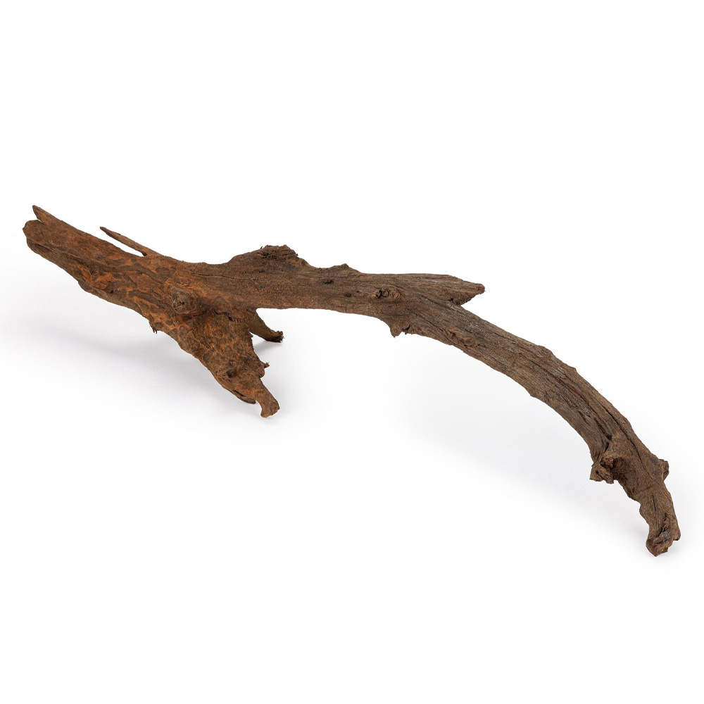 Happet Korzeń Mangrowca L do akwarium i terrarium - gałąź 70-90cm